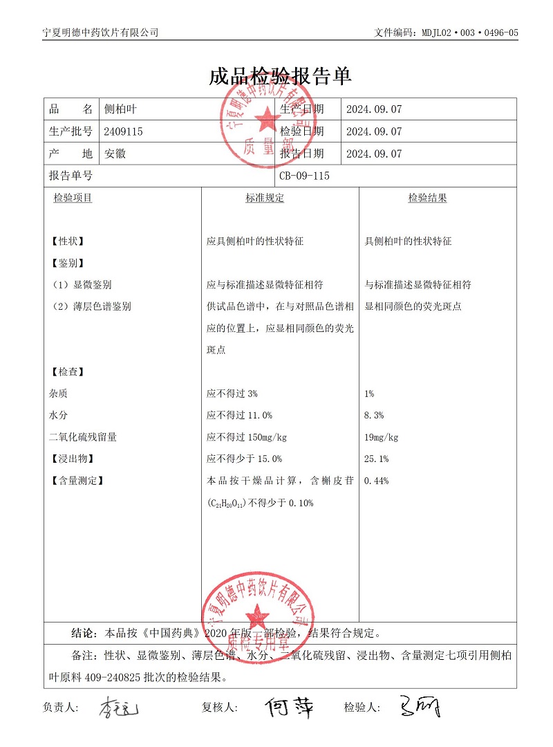 2409115側柏葉.jpg