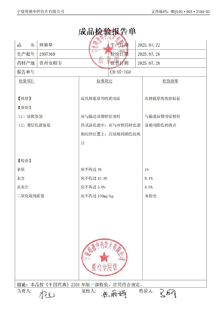 2507369伸筋草.jpg